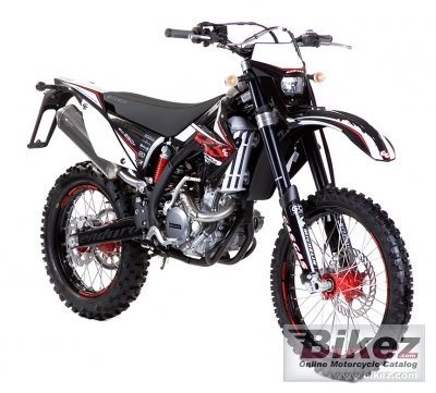 2011 GAS GAS EC 250 4T photo